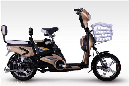  赛克电动车霸道20AH